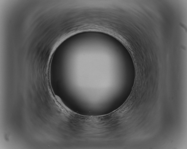 X0000092011536200709061258