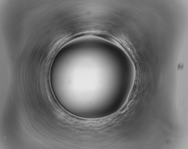 X0000092010001200709061542