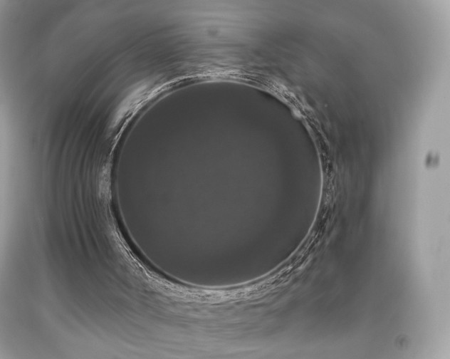 X0000092010002200709061542