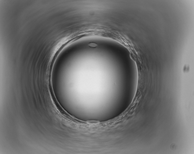 X0000092010003200709061542