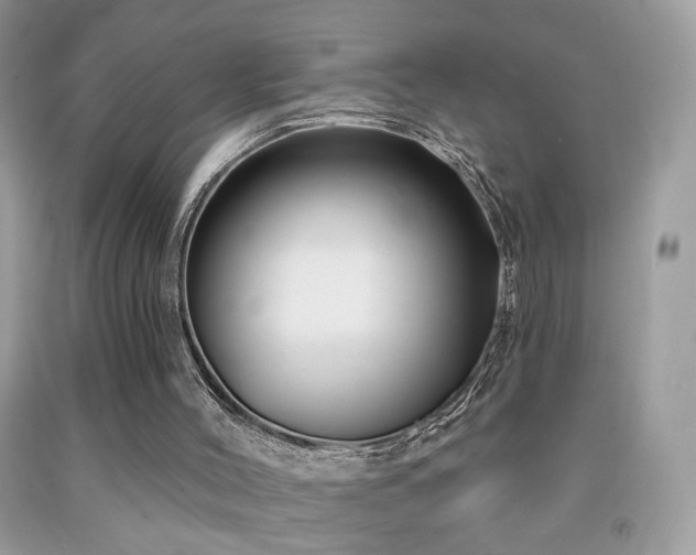 X0000092010004200709061542