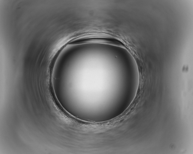 X0000092010005200709061542