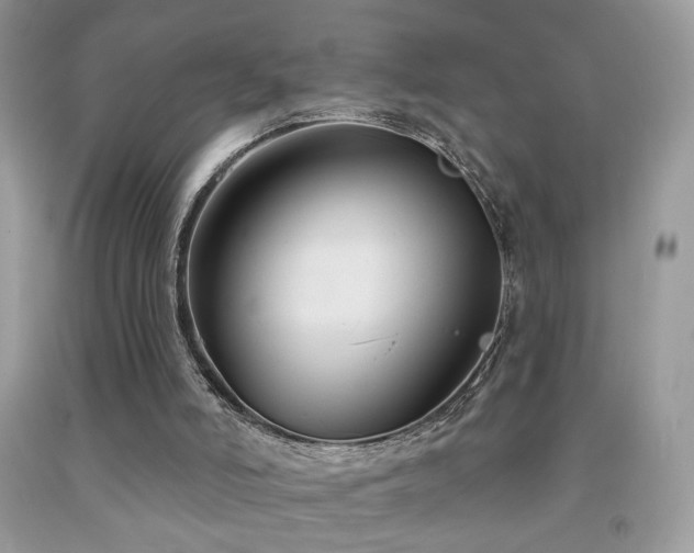 X0000092010006200709061542