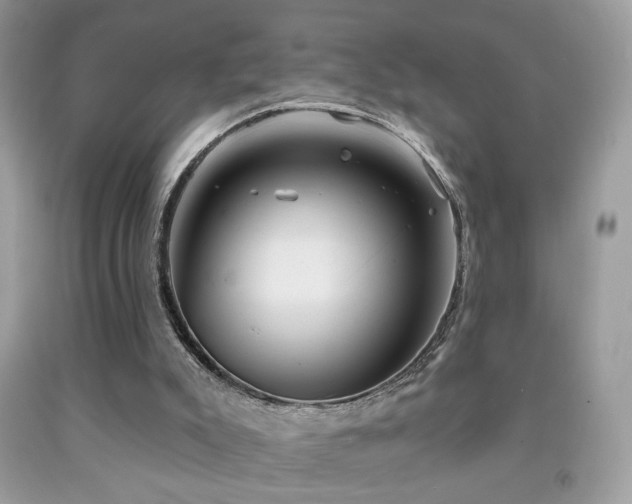 X0000092010007200709061542