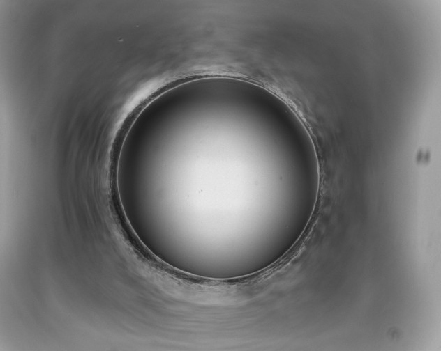X0000092010008200709061542