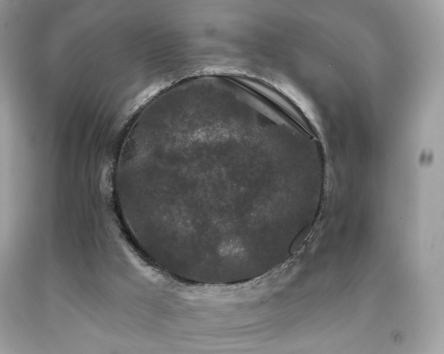 X0000092010009200709061542
