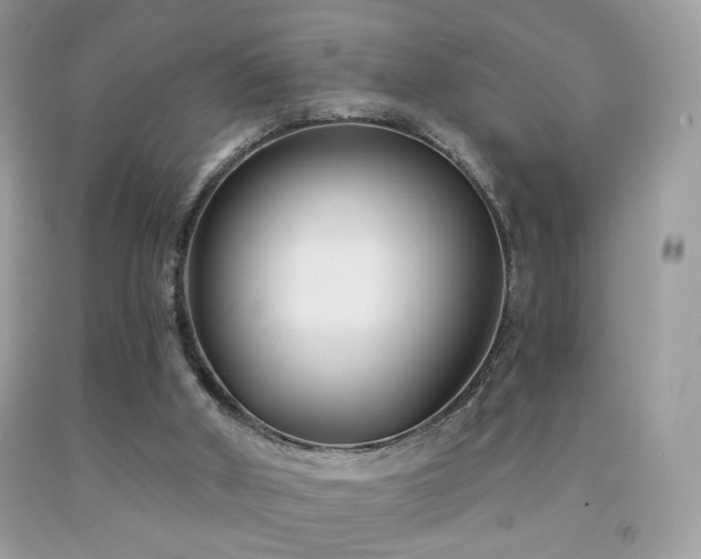 X0000092010010200709061542