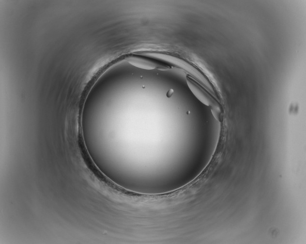 X0000092010011200709061542