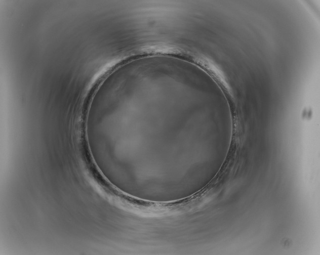 X0000092010012200709061542