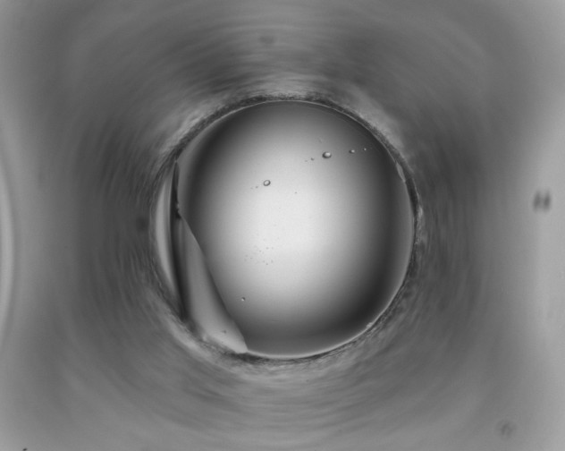 X0000092010013200709061542