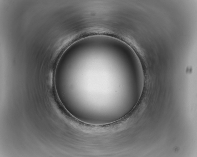 X0000092010014200709061542