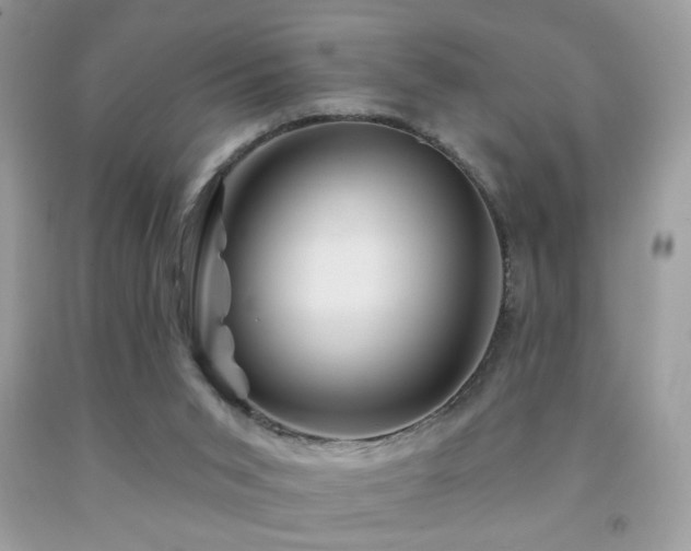 X0000092010015200709061542