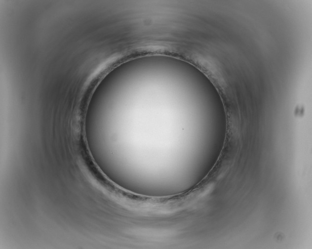 X0000092010016200709061542