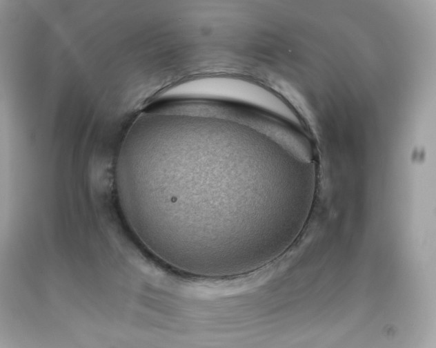 X0000092010017200709061542