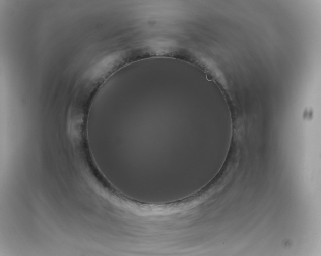X0000092010018200709061542