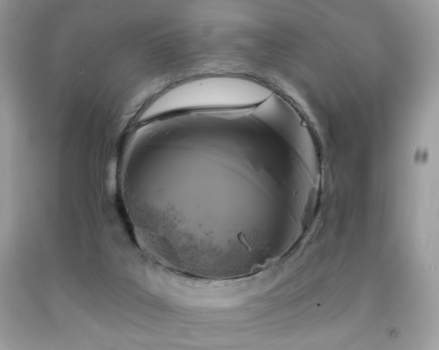 X0000092010019200709061542