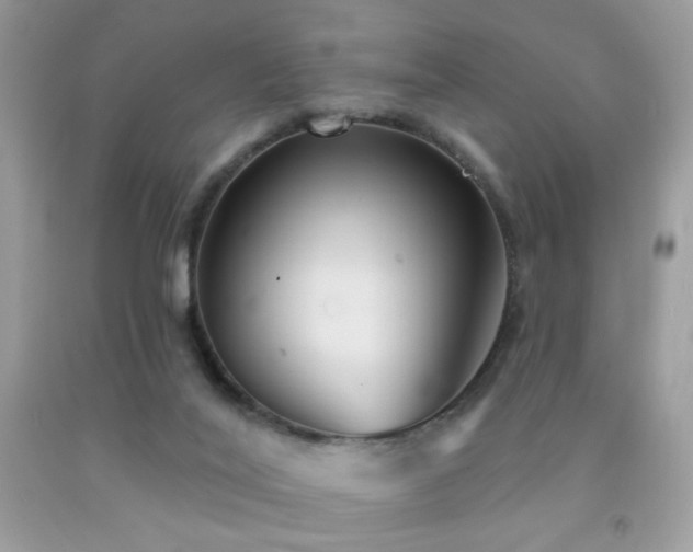 X0000092010020200709061542
