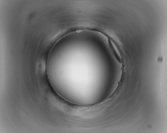X0000092010021200709061542