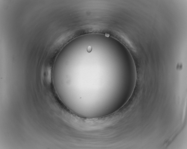 X0000092010022200709061542