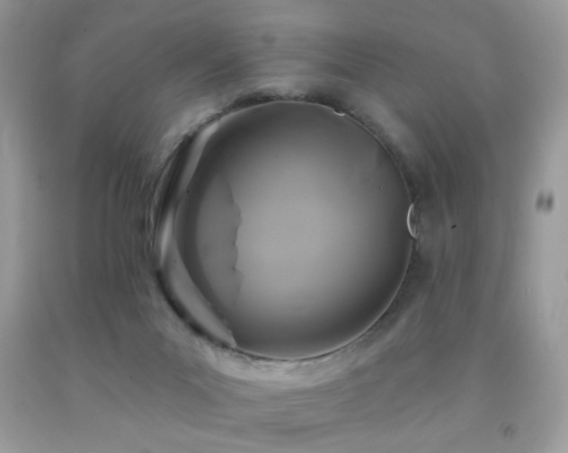 X0000092010023200709061542