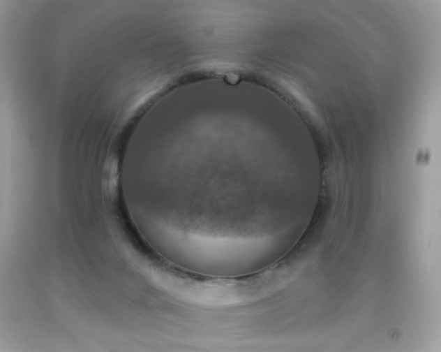 X0000092010024200709061542