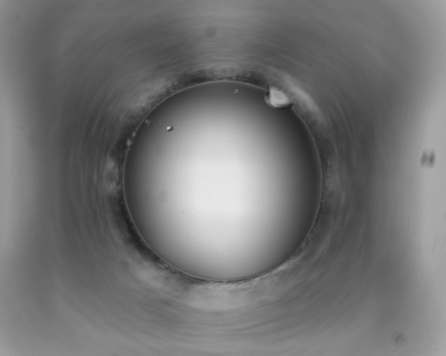 X0000092010025200709061542