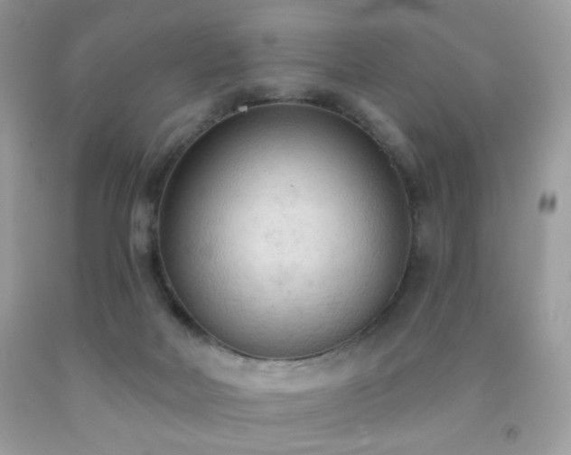 X0000092010026200709061542