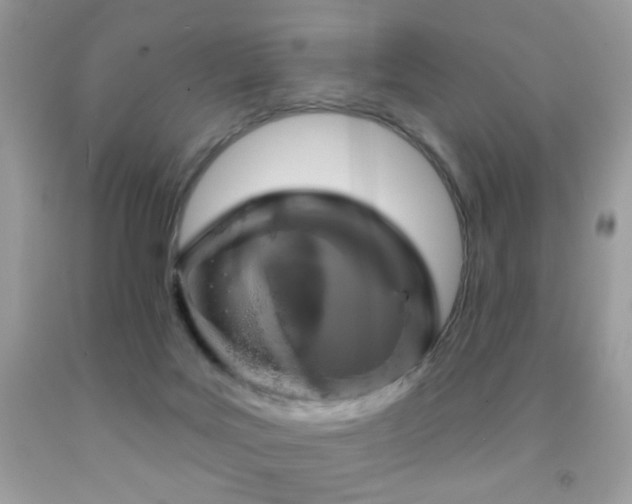 X0000092010027200709061542
