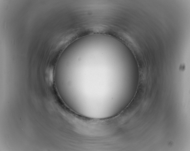 X0000092010028200709061542