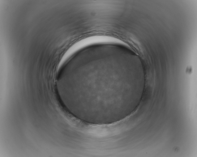 X0000092010029200709061542