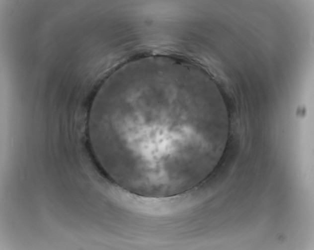 X0000092010030200709061542