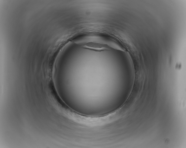 X0000092010031200709061542