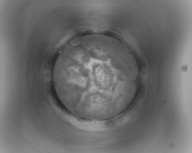 X0000092010032200709061542