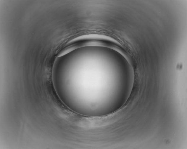 X0000092010033200709061542