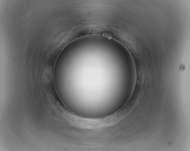X0000092010034200709061541