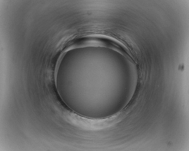 X0000092010035200709061541