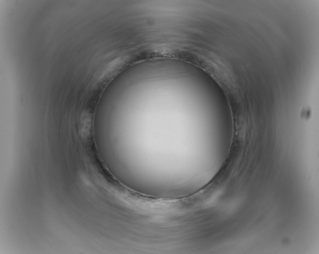 X0000092010036200709061541