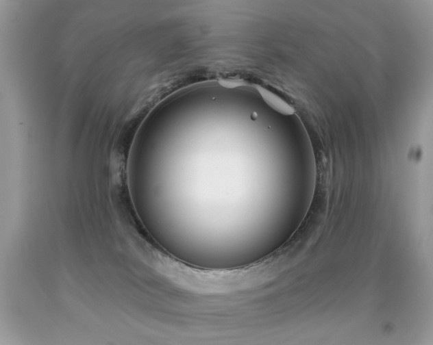 X0000092010038200709061541