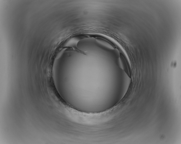 X0000092010039200709061541