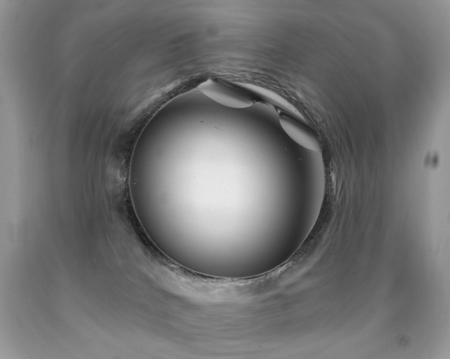 X0000092010040200709061541