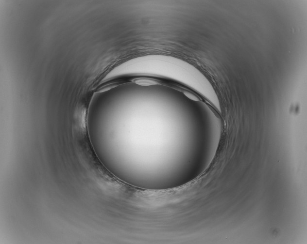 X0000092010041200709061541