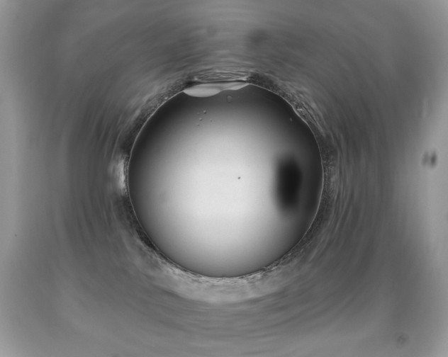X0000092010042200709061541