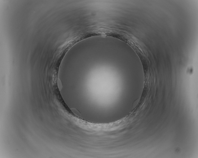 X0000092010043200709061541