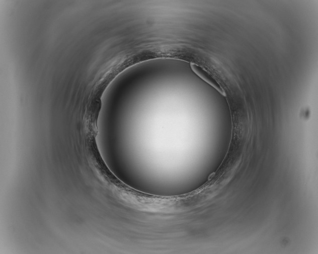 X0000092010044200709061541