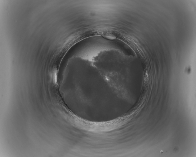 X0000092010046200709061541