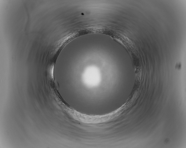 X0000092010047200709061541