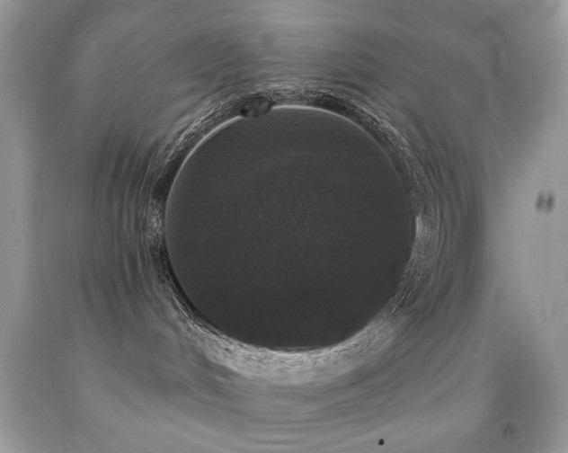 X0000092010048200709061541
