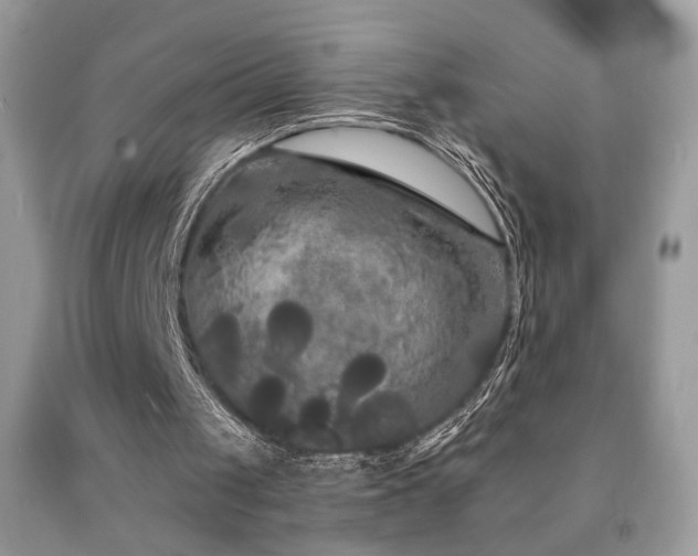 X0000092010049200709061541