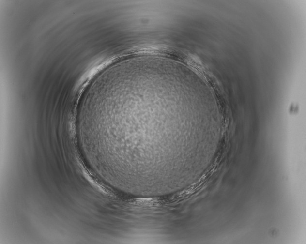 X0000092010050200709061541