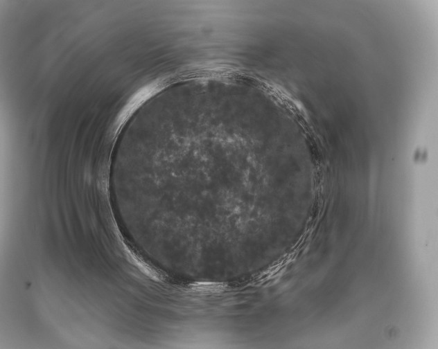 X0000092010051200709061541